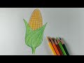 How to draw and colour sweetcorn colour pencil art drawing easydrawing
