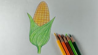 How to draw and Colour Sweet-corn- Colour pencil #art #drawing #easydrawing