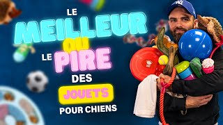 JOUETS pour CHIENS - les Meilleurs ⚡️ Pires by Esprit Dog 76,300 views 3 months ago 32 minutes
