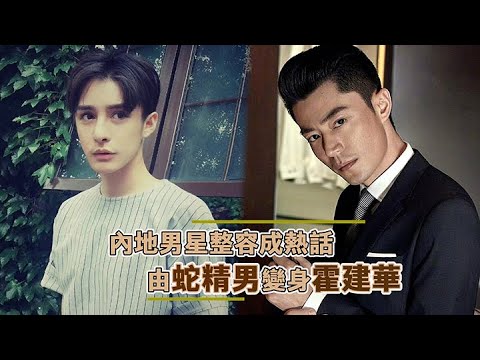 內地男星整容由蛇精男變霍建華｜Viu1 娛樂新聞