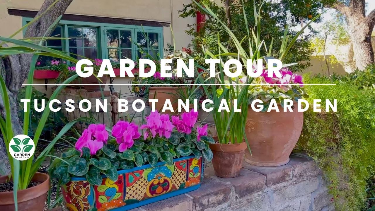 Inside Tucson's Hidden Oasis (Tucson Botanical Gardens) - YouTube