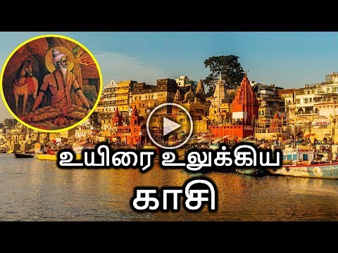 காசி எனும் வாரணாசியின் வரலாறு | The History Of Kasi | Varanasi | Dhinam Oru Thagaval