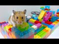 【レゴ技】ハムスターにレゴで迷路作ってみた！警察ごっこ 寸劇 DIY LEGO Maze for Hamster🐹Obstacle Course Escape the Castle