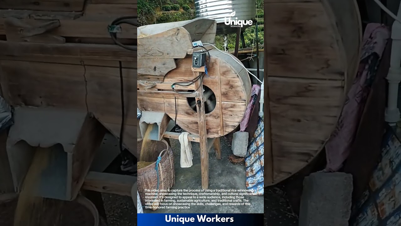 Rice winnowing machine: a traditional farming technique