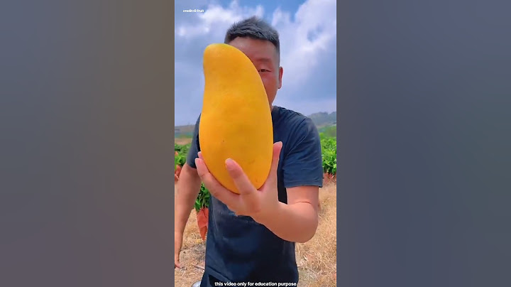 The secret of China's golden mangoes🥭