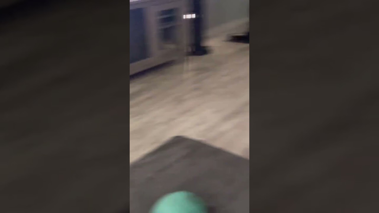 Why crate a nervous anxious fearful dog daily