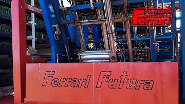 Ferrari Futura transplanting broccoli plants
