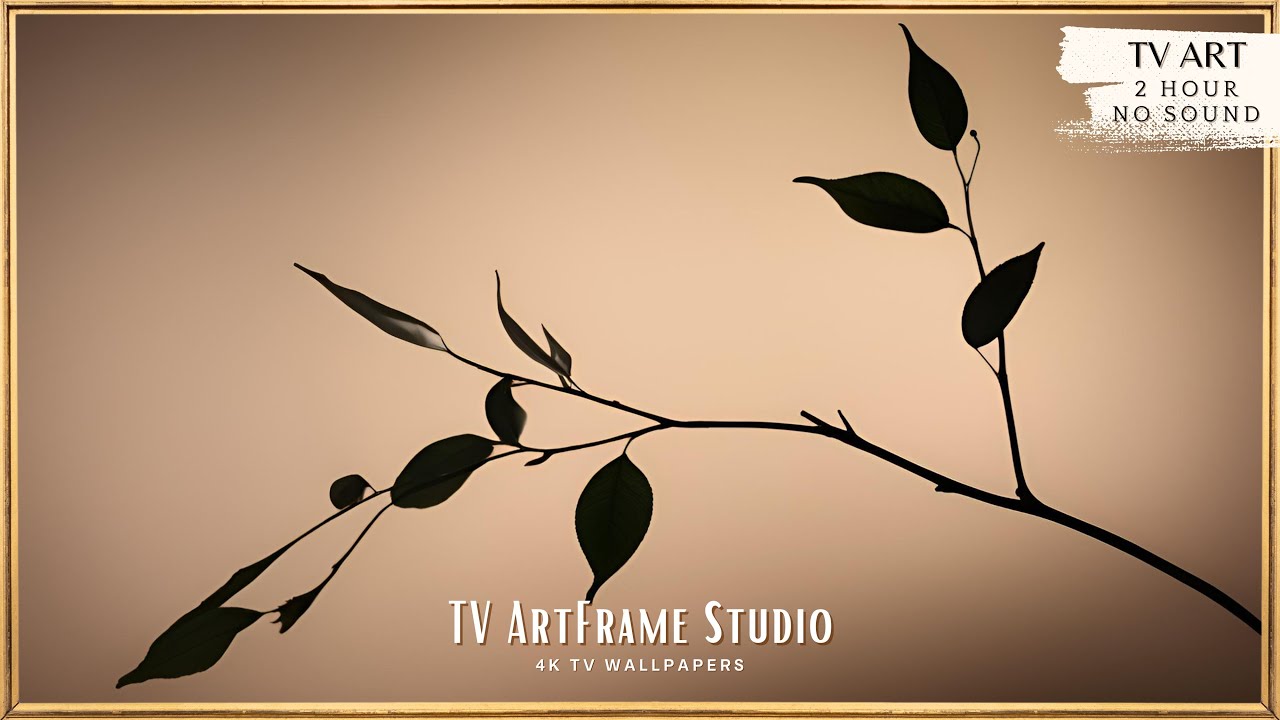 Minimalism Frame TV Art Shadow | Cozy Background for TV | Quiet and Peaceful Wallpaper for TV