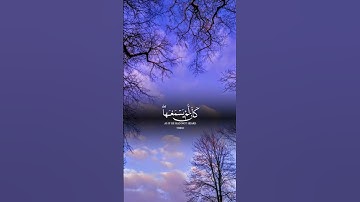 (ويل لكل أفاك أثيم )من سورة [ الجاثية: 7] #quran