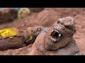 End of video