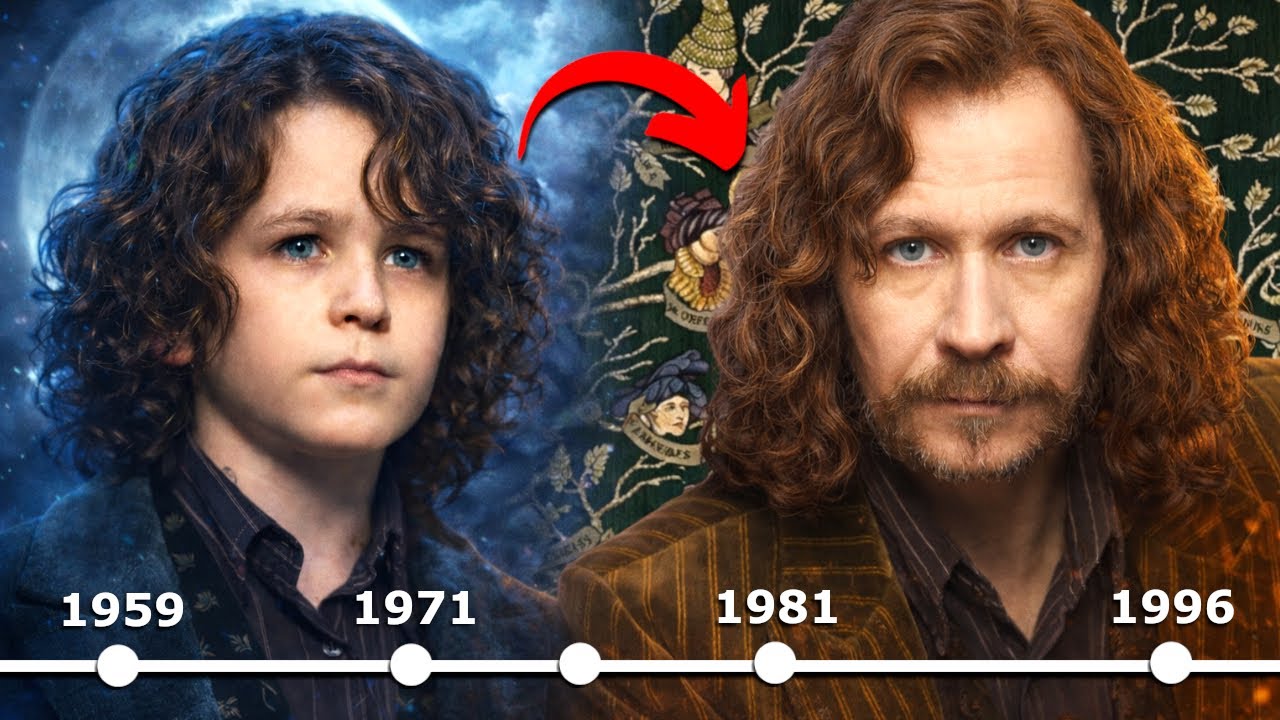 Die komplette GESCHICHTE von SIRIUS BLACK zusammengefasst! 🐾