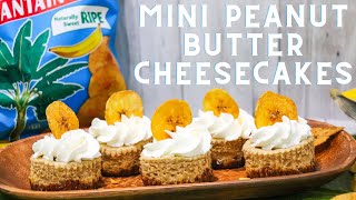 Mini Peanut Butter Cheesecakes | Anitas Delights