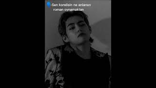 Roman Havası Oynayan Kaplan