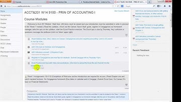 Acct 201 OL Walk thru Canvas and Cengage video