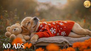 12 HOURS Music for Dogs 🐶💖 Peaceful Calm Atmosphere 🎶 Stress Relief & Deep Rest 💤 No Ad