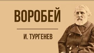 «Воробей» И. Тургенев. Анализ стихотворения в прозе