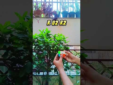 Secret 2x2 Cube Pattern You Must Try! (Pillar Pattern) | #MasterofcuberAK #viral #rubikscube #shorts