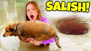 7 YouTubers Who SAVED ANIMALS LIVES! (Salish Matter, Jordan & Nidal)