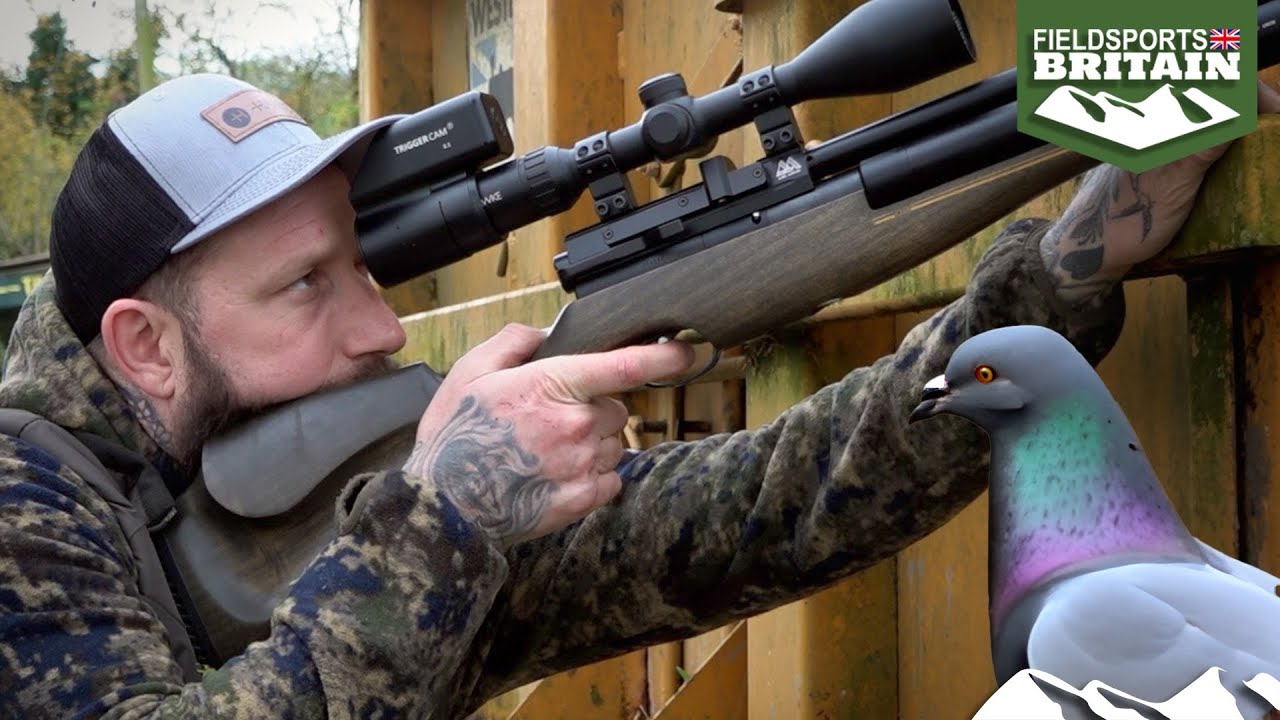 Shooting Farmyard Feral Pigeons With An Air Rifle YouTube shooting-farmyard-feral-pigeons-with-an-air-rifle-youtube