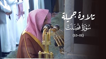 تلاوة جميلة من سورة فصلت للشيخ د. عبدالله القرافي | عشاء الاثنين 25-8-1446هـ