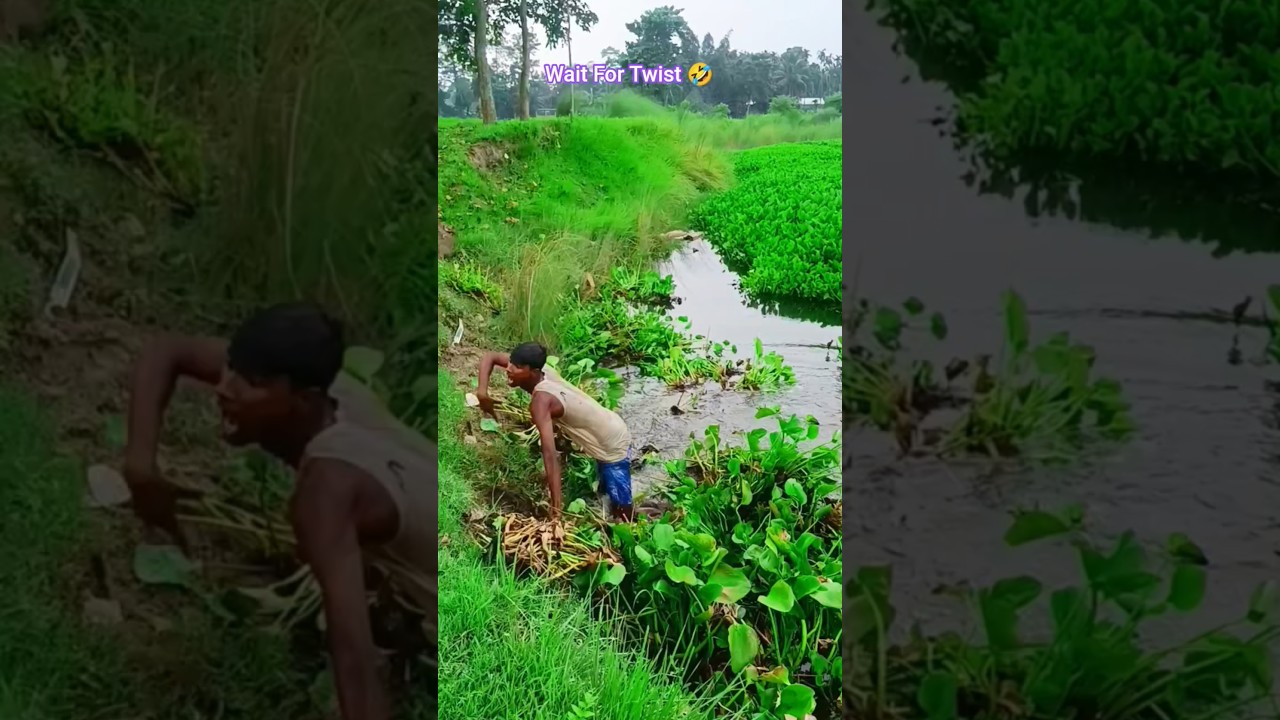 Back clean funny video 🤣 