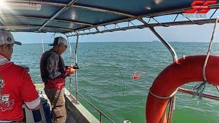 Download Lagu ABAH Dapat Ikan BESAQ On LIGHT JIG‼️ MP3