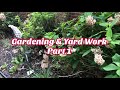 Hoarders Heart: Gardening & Yard Work and some of my Frugal & Life Hacks to save money!