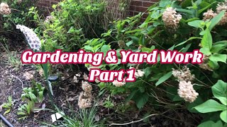 In this episode we go over my garden and backyard!! even get to tour a
new hoarded area of house: the back shed!!! work front yard complete
i...
