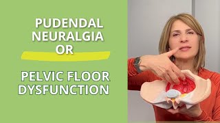 Pudendal Neuralgia Or Pelvic Floor Dysfunction Whats The Difference?