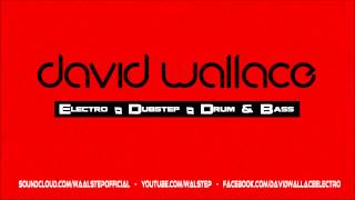 David Wallace - Drop It! (Electro/ Experimental)