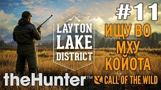 theHunter call of the wild #11 🔫 - Ищу во мху койота - Озерный край Лейтон - Прохождение