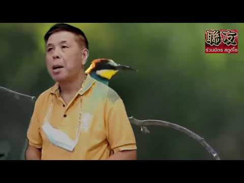 เพลง"為什么離開我"คุณ"ซ้ง"唱