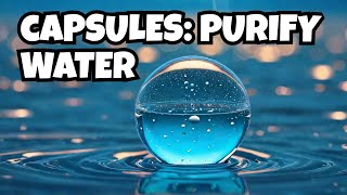 Purifying Water with Light and Nanoparticles: The Hydrogel Microcapsules