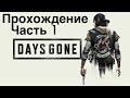 Прохождение Days Gone Часть 1