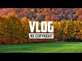 Xad   Story Vlog No Copyright Music