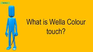 What Is Wella Colour Touch?