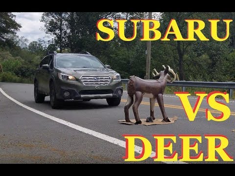 can-subaru-eyesight-save-you-from-hitting-a-deer?