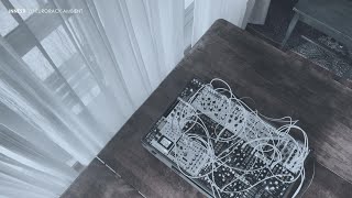 Generative Modular Ambient /// 17 /// Innesti
