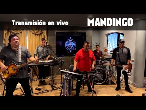 Mandingo  | en vivo Retransmisión de Facebook