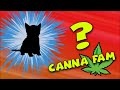 Fri Night Autoflowers - WHOS THAT CANNAFAM? update about next grow