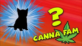 Fri Night Autoflowers - WHOS THAT CANNAFAM? update about next grow