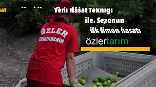 Özler Tarım, Yeni kesim düzenimiz
