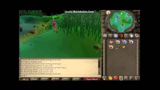 clue scroll dig in morton runescape