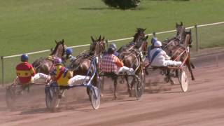 Vidéo de la course PMU PRIX DE CHOLET