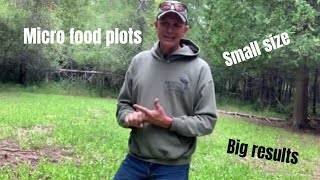How to create micro deer food plots.