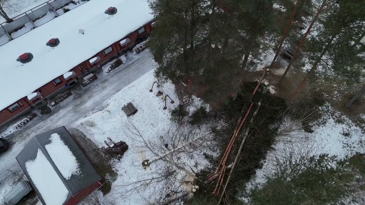 Metsolan Metsäkoulu 374 - Näin kaadat sivukaltevan puun ahtaassa paikassa