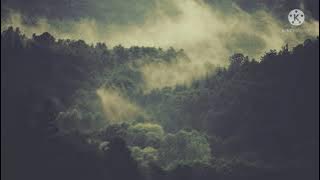 lirik/lagu (aku setia menunggu lagu Dayak Kalteng)