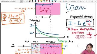 24.3c Ultrasound Attenuation & Absorption | A2 Medical Ultrasound | Cambridge A Level 9702 Physics