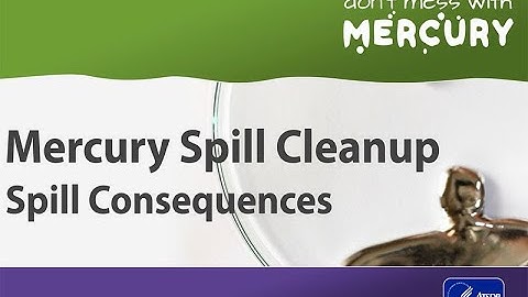 Mercury Spill Cleanup - Spill Consequences