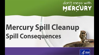 Mercury Spill Cleanup - Spill Consequences